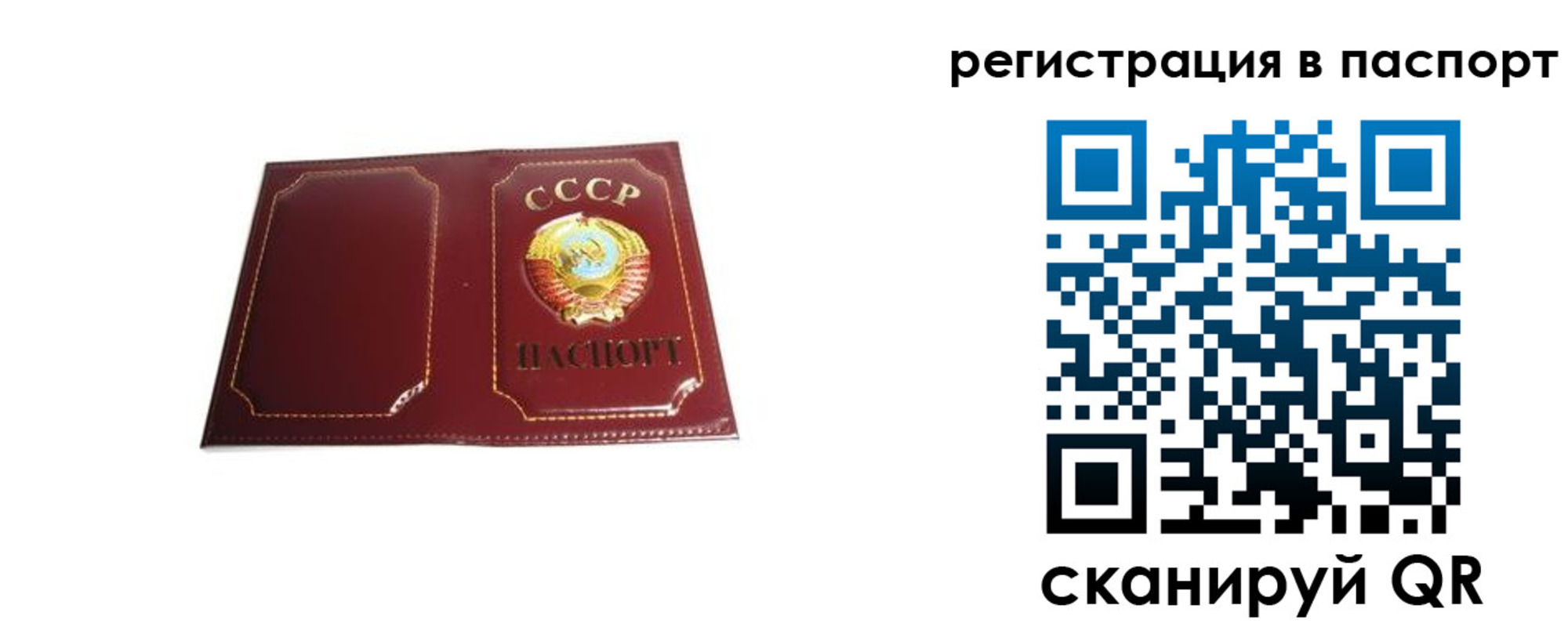прописка 2025 в Северодвинске